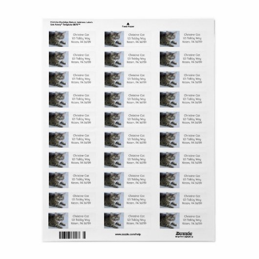 Schattigee Tabby Cat foto Etiket (Full Sheet)