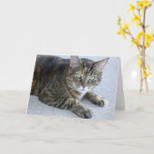 Schattigee Tabby Cat foto Kaart (Gele Bloem)
