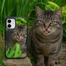 Schattigee Tabby Cat Kiss iPhone 16 Hoesje