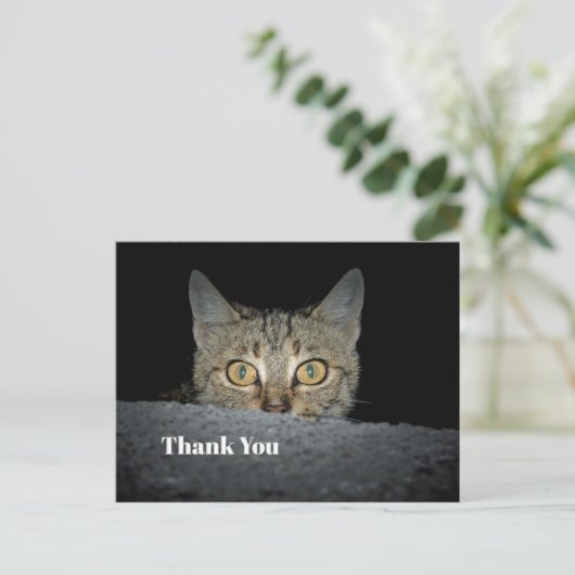 Schattigee Tabby Cat Peeking Foto Dank U Briefkaart (Staand voorkant)