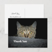 Schattigee Tabby Cat Peeking Foto Dank U Briefkaart (Voorkant / Achterkant)