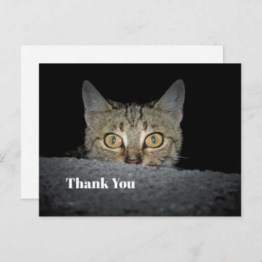 Schattigee Tabby Cat Peeking Foto Dank U Briefkaart (Voorkant / Achterkant)