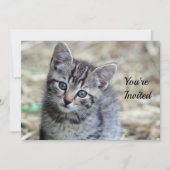 Schattigee Tabby Kitten Fotoverjaardag Kaart (Voorkant)
