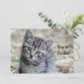 Schattigee Tabby Kitten Fotoverjaardag Kaart (Staand voorkant)