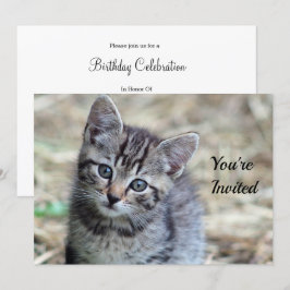 Schattigee Tabby Kitten Fotoverjaardag Kaart