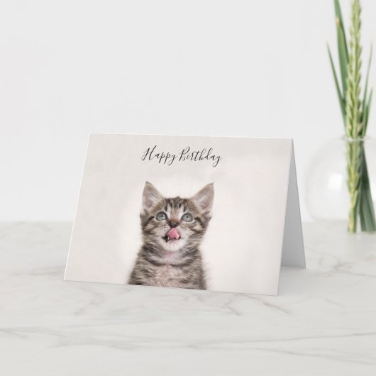 Schattigee Tabby Kitten verjaardagskaart Kaart (Voorkant)