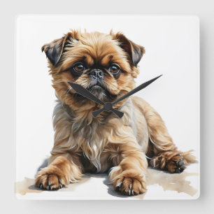 SCHATTIGEE TAN & BLACK BRUSSELSE GRIFFONHOND VIERKANTE KLOK