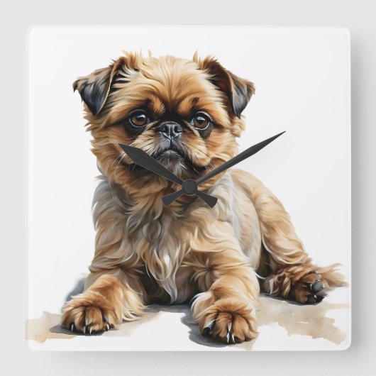 SCHATTIGEE TAN & BLACK BRUSSELSE GRIFFONHOND VIERKANTE KLOK (Voorkant)