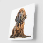 SCHATTIGEE TAN EN ZWARTE BLOEDHOND HOND VIERKANTE KLOK (Hoek)