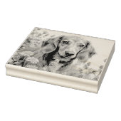 Schattigee teckel op het boerderij rubberstempel (Stempel)