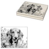 Schattigee teckel op het boerderij rubberstempel (Gestempeld)