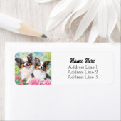 Schattigee Tri Kleur Papillon Puppy Dogs Retouradr Etiket (Insitu)