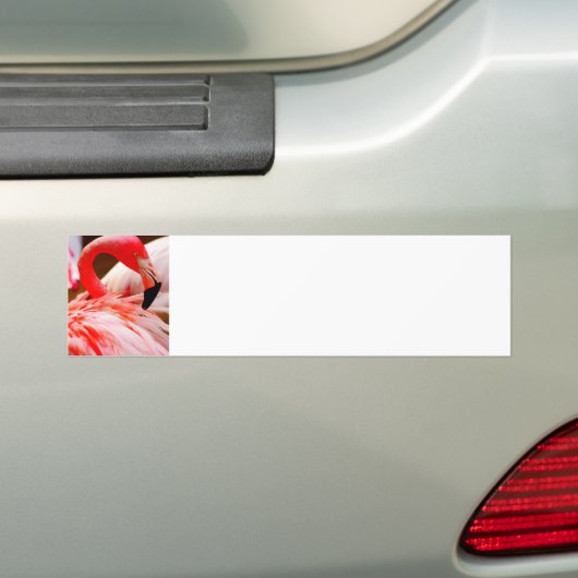 Schattigee Tropical Bright Pink Flamingo Bumpersticker (Op auto)
