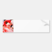 Schattigee Tropical Bright Pink Flamingo Bumpersticker (Voorkant)