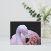 Schattigee Tropische Roze Flamingo Briefkaart (Staand voorkant)