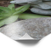 Schattigee Tuinkikker Sappige Tuin 8x10 Foto Afdruk (Hoek)