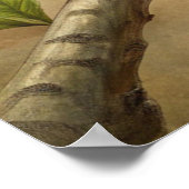 Schattigee turquoise vogel poster (Hoek)