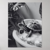 Schattigee Turtle Spa dag, leuke badkamer kunst, c Poster (Voorkant)
