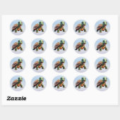 Schattigee Turtle Stickers (Vel)