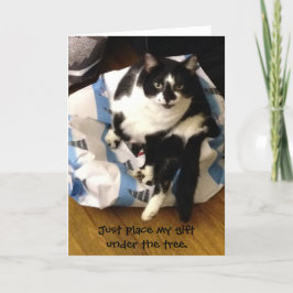 Schattigee Tuxedo Cat Gesponnen-effect Kerst Kaart