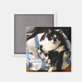 Schattigee Tuxedo Cat, op Cadeau kerstmagneten Magneet (Voorkant / Achterkant)