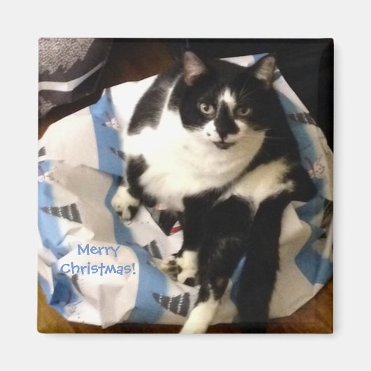 Schattigee Tuxedo Cat, op Cadeau kerstmagneten Magneet (Voorkant)