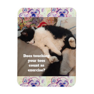 Schattigee Tuxedo Cat Verjaardagsfeestje Kinderuit Magneet