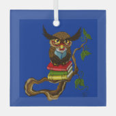 Schattigee Uil Boeken Glas Ornament (Voorkant)