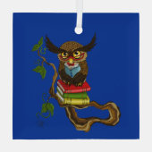 Schattigee Uil Boeken Glas Ornament (Achterkant)
