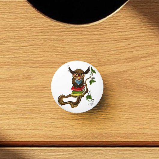 Schattigee Uil Boeken Keramische Knop