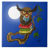 Schattigee Uil Boeken Tegeltje (Voorkant)