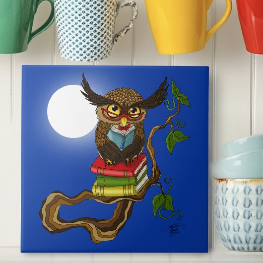 Schattigee Uil Boeken Tegeltje