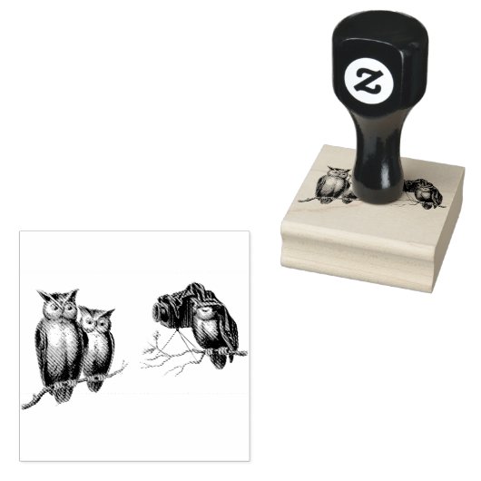Schattigee uilen en camera op takken vogels rubberstempel (Gestempeld)