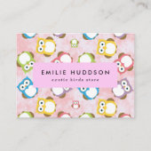 Schattigee uilen, uilenpatroon, dierenwinkel, voge visitekaartje (Voorkant)