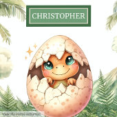 Schattigee Uitkomen Binnenkort Baby Dinosaurus Gep Kussen