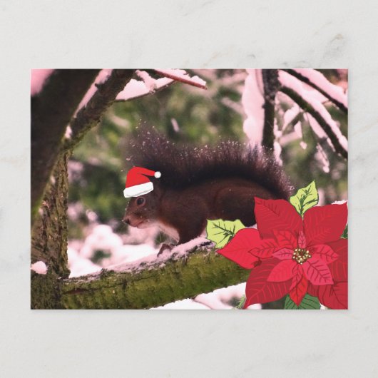 Schattigee vakantie groet Briefkaart (Voorkant)