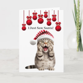 Schattigee Vakantie Kat Kerst Kat Kerst Kaart