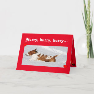 Schattigee Valentijn w / Funny Basset Hound Runnin Feestdagen Kaart