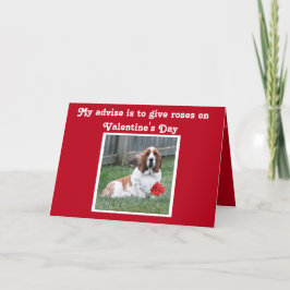 Schattigee Valentijnsdag Kaart w / Basset Hound en