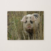 Schattigee varkenspuzzel legpuzzel (Horizontaal)