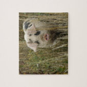 Schattigee varkenspuzzel legpuzzel (Verticaal)