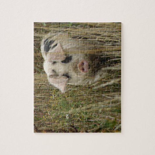 Schattigee varkenspuzzel legpuzzel (Verticaal)