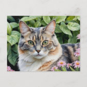 Schattigee Verdunde Tortoiseshell Tortie Cat In Tu Briefkaart (Voorkant)