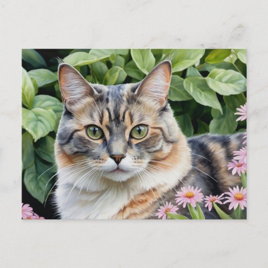 Schattigee Verdunde Tortoiseshell Tortie Cat In Tu Briefkaart (Voorkant)