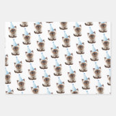 Schattigee verjaardag kitten inpakpapier vel (Voorkant)