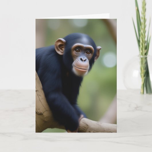 Schattigee verjaardag van de chimp kaart (Voorkant)