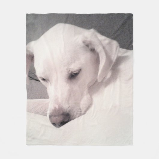 Schattigee vermoeide witte labrador mix hond grijs fleece deken (Voorkant)