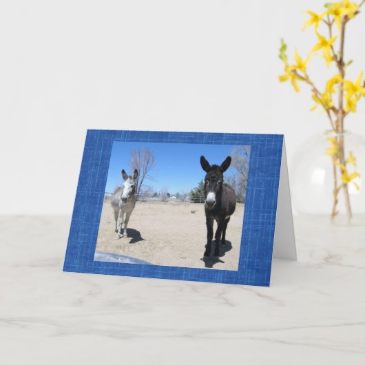 Schattigee Vet School Afstuderen Westerne Ranch Bo Kaart (Gele Bloem)