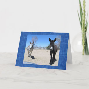 Schattigee Vet School Afstuderen Westerne Ranch Bo Kaart