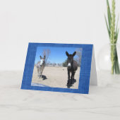 Schattigee Vet School Afstuderen Westerne Ranch Bo Kaart (Voorkant)